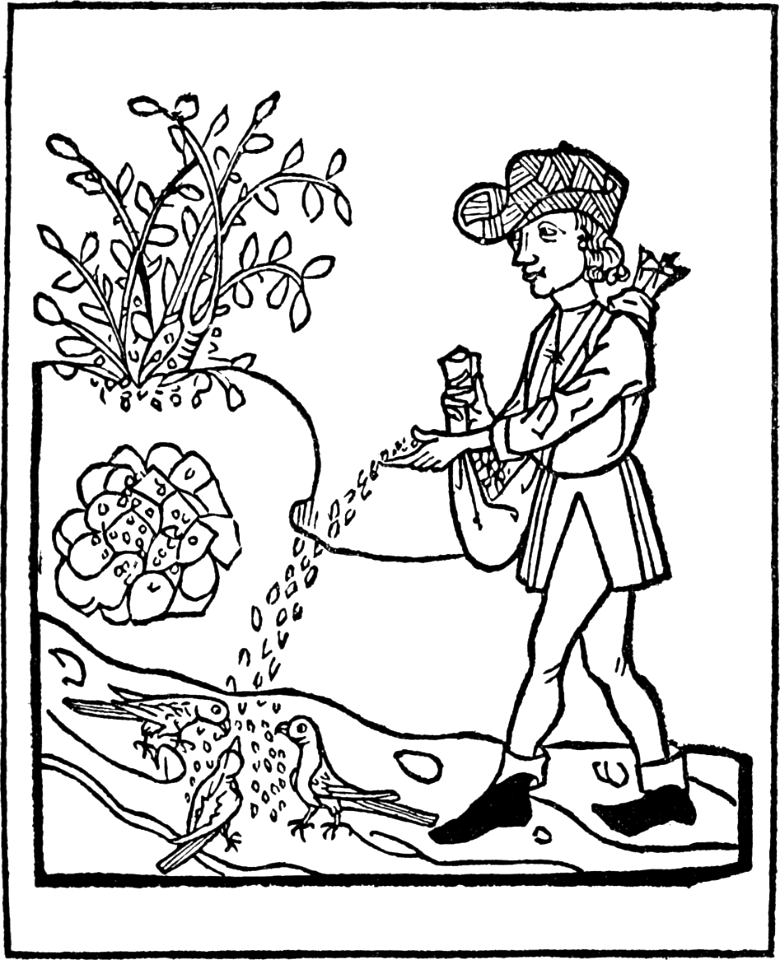 18 The Parable of the Sower