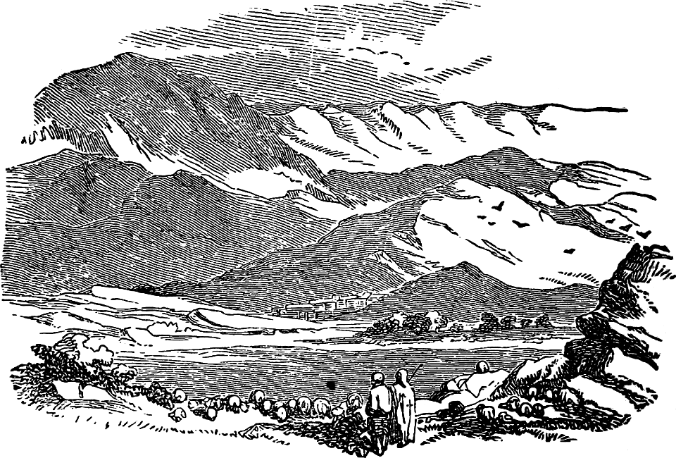 Fields near Bethlehem