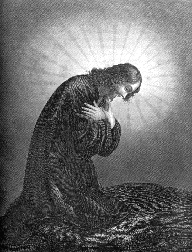09 The Agony in Gethsemane