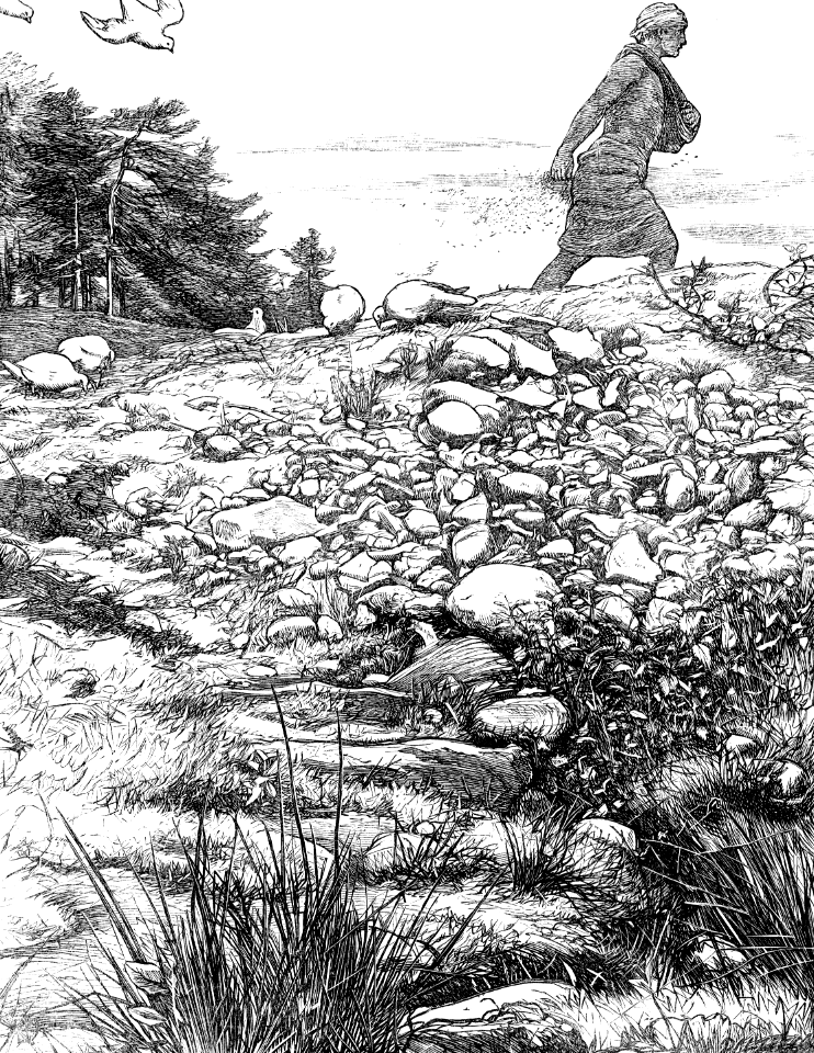 01 Matthew 13a - The Sower