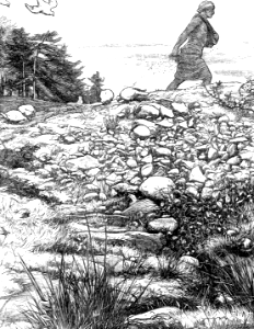 01 Matthew 13a - The Sower