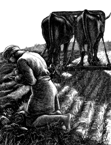 04 Matthew 13d - The Hidden Treasure