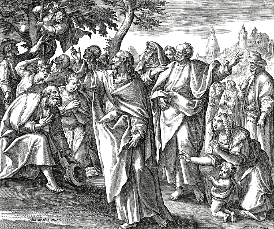 16 Luke 19 - Jesus calls Zacchaeus to come down