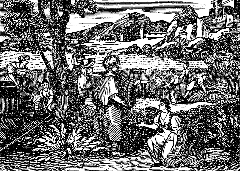 03 Ruth Gleaning