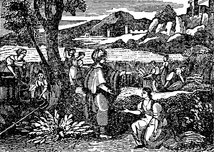 03 Ruth Gleaning