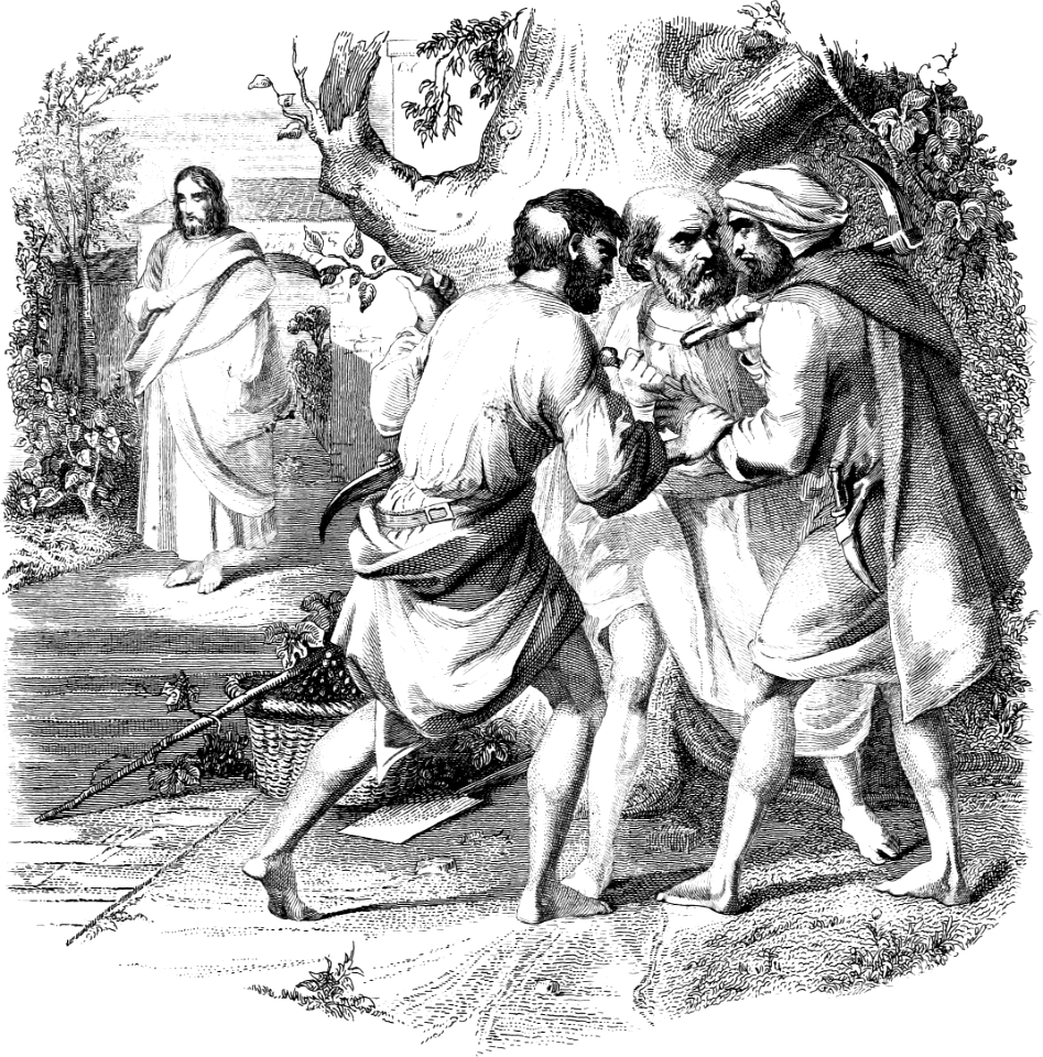 06 Matthew 21 The Wicked Husbandmen