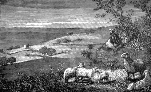 The Shepherds Field at Bethlehem