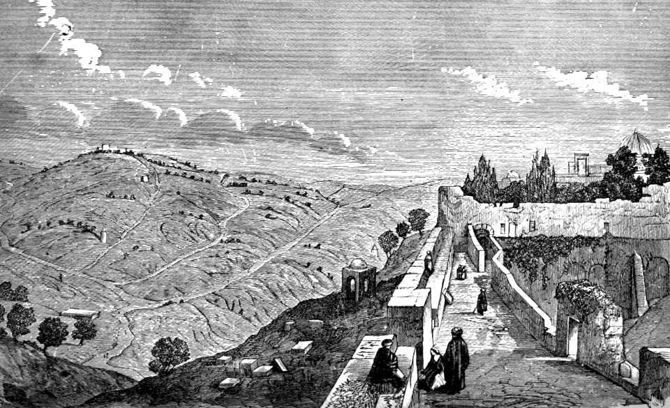 Mount of Olives viewed from the Wall of Jerusalem