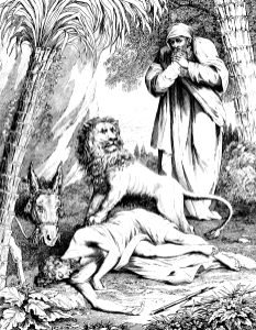 27 1 Kings 13 v28 - The Disobedient Prophet