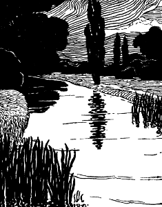 07 Marsh