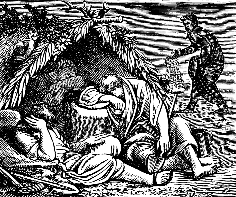03 Matthew 13 v25 An Enemy sows Tares