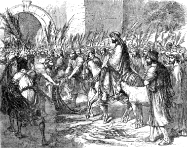 093 The Triumphal Entry