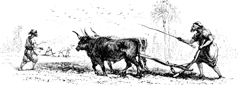Eastern Plowing and Sowing