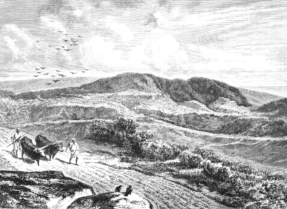 031 Parable of the Sower