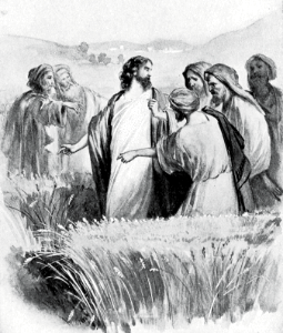 024 The Disciples plucking Grain. Free illustration for personal and commercial use.