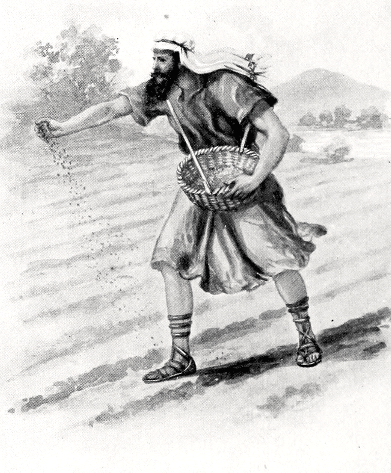 038 A Sower