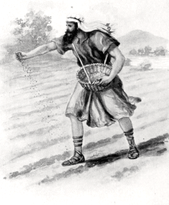 038 A Sower