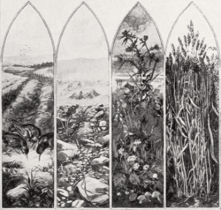 039 Parable of the Sower