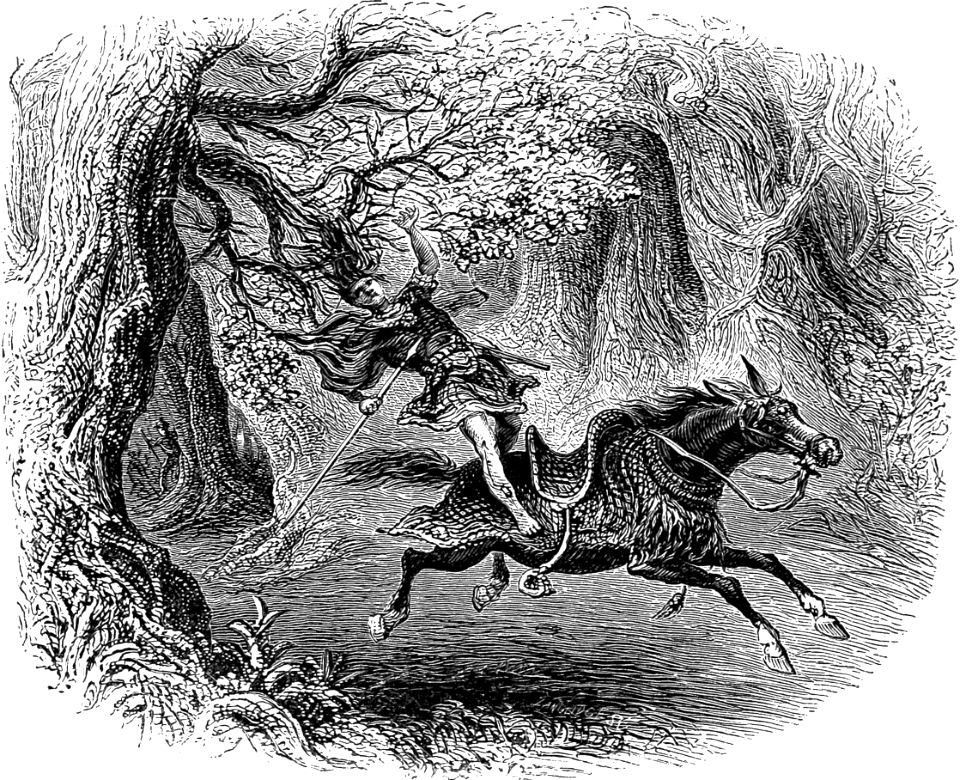 05 2 Samuel 18 Absaloms hair caught in a Tree