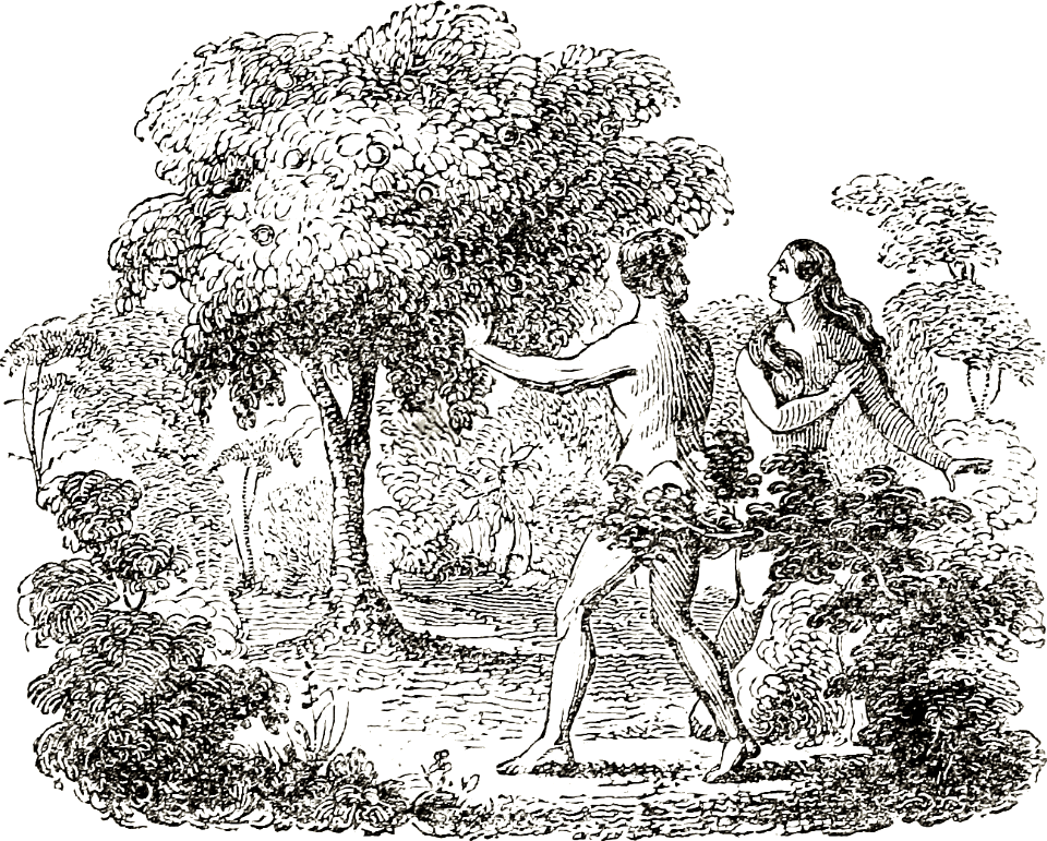 02 The Prohibition - But not the Tree of the Knowledge of Good and Evil