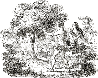 02 The Prohibition - But not the Tree of the Knowledge of Good and Evil