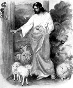 066 The Sheepfold