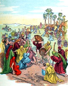 15 The Feeding of the Multitude