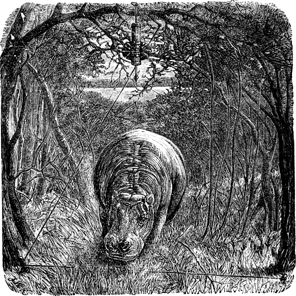 Hippopotamus and Trap (Job 40 v24)