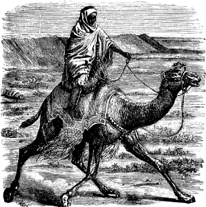 Camel Post