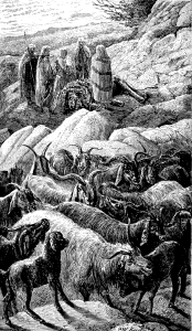 Goat (Amos 3 v12)