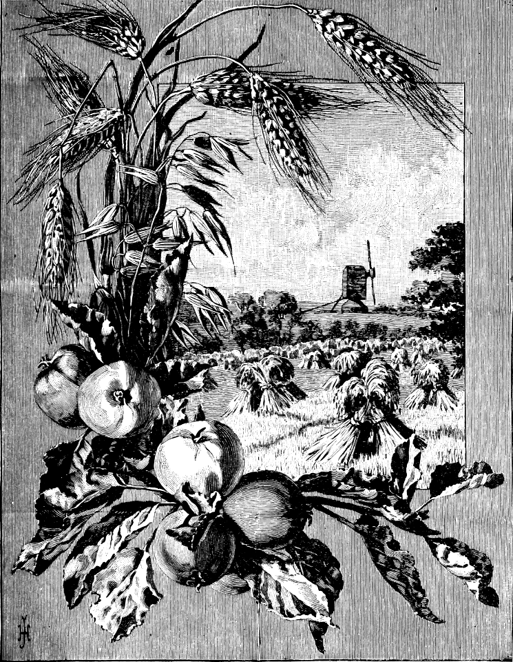 102 Poster - The Harvest Time