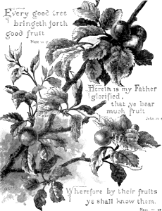 104 Poster - Matthew 07 v17 A Good Tree brings forth Good Fruit