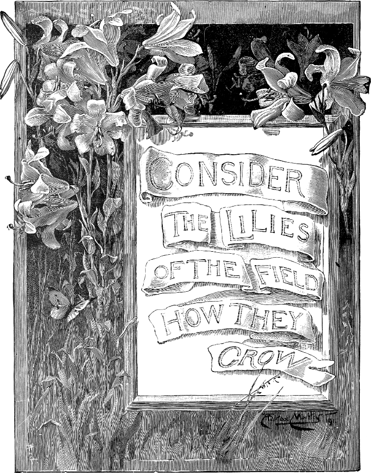 107 Poster - Consider the Lilies