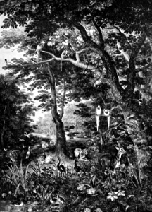 005 The Garden of Eden