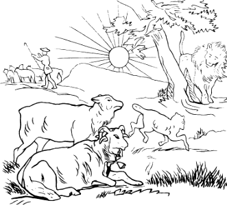 Sheep straying into danger