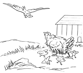 Protected under the Wings of the Mother Hen