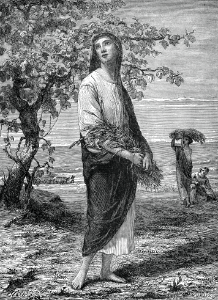 77 Harvest Scene in Palestine (Ruth gleaning)