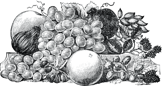 83 Fruit of the Holy Land