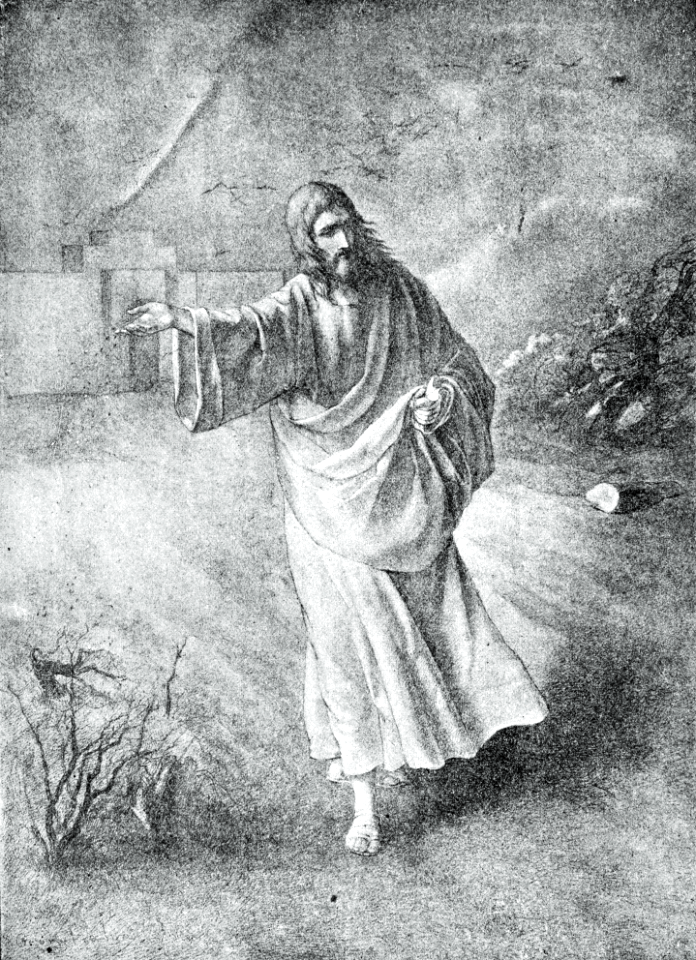 21 Matthew 13 v03 A Sower went forth to Sow