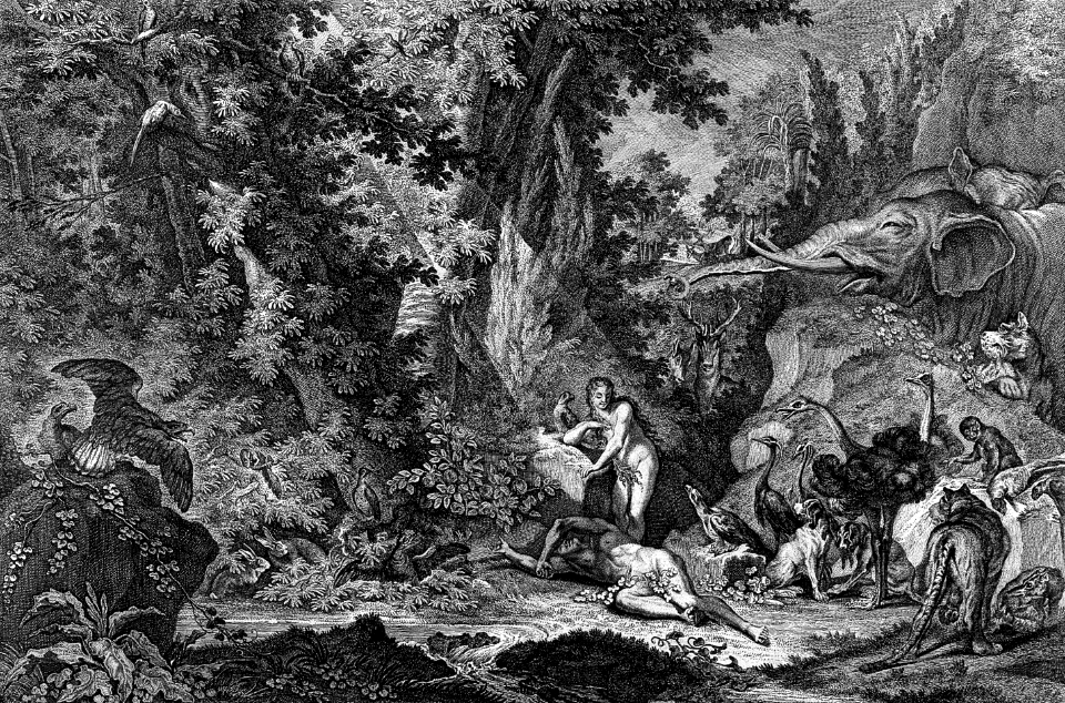 05 Eve emerges from sleeping Adams side