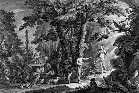 06 Adam gestures towards a radiant Eve, flesh of his flesh