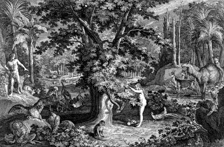07 Eve picks the Apple from the Tree as the Serpent emerges