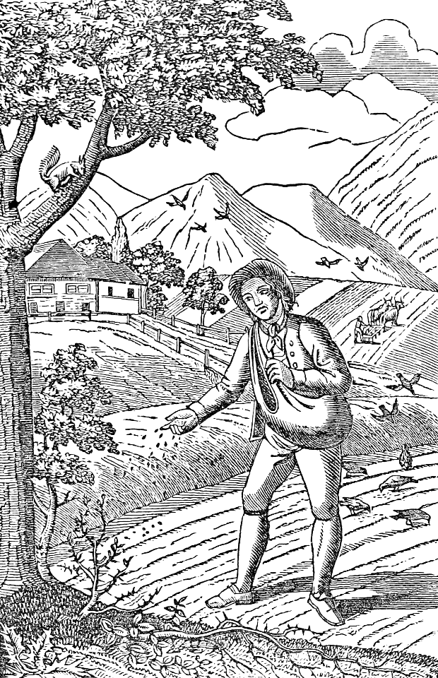 09 The Parable of the Sower
