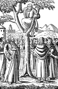 15 Zaccheus in the Sycamore Tree