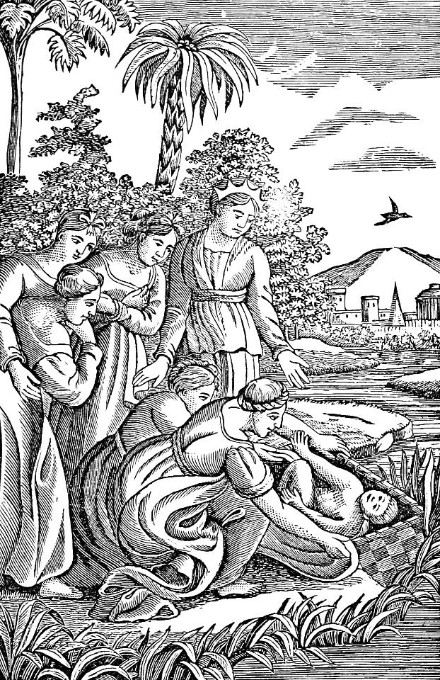 13 Baby Moses is discovered in a basket