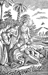 13 Baby Moses is discovered in a basket