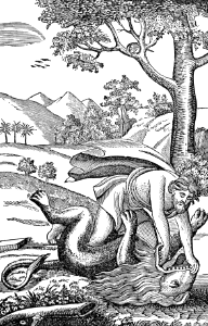 15 Samson kills a Lion