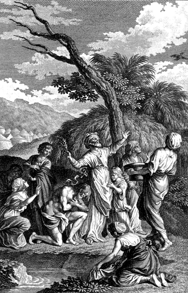065 Purification for a Leper