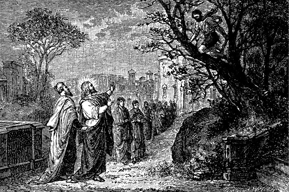 27 Zaccheus