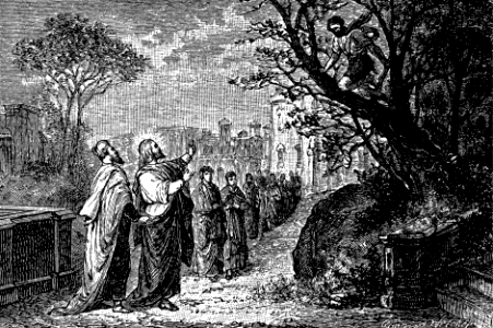 27 Zaccheus